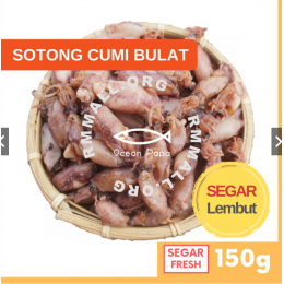 Ocean Papa Sotong Kering Cumi Gred A (150G) / Mini Dried Squid